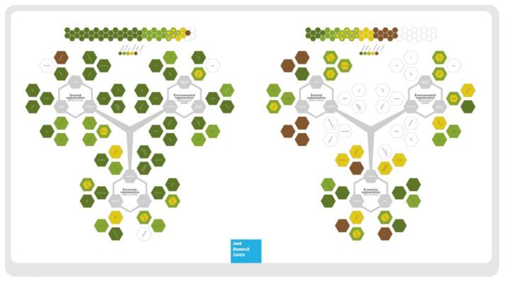 CANVAS:Economic activities as living organisms