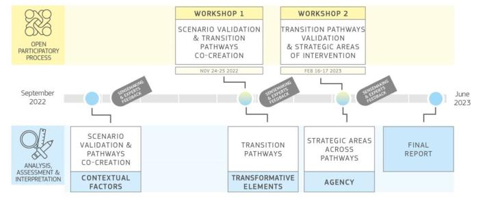 graphic description of the foresight process