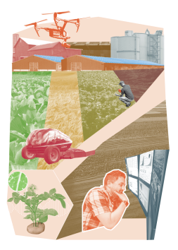 intensive farmer collage