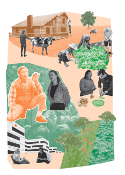 social care farmer collage