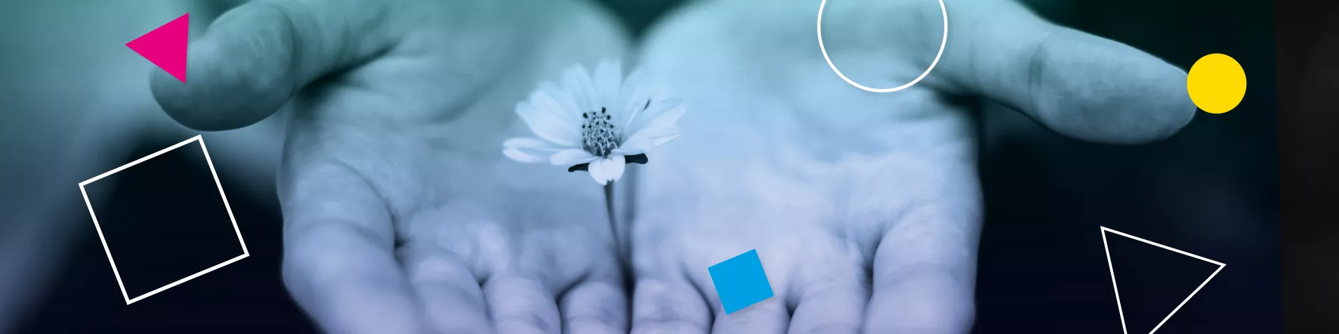 hands protecting growing flower on ID graphics